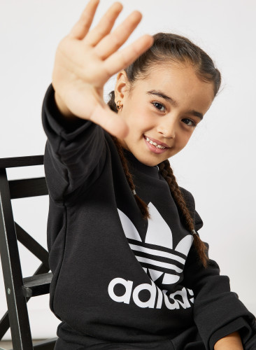 Meet talent: